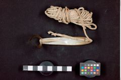 Foto (Seitenansicht) von Angelhaken (NHMW-ZOO-MO-0081100-ETH-110)